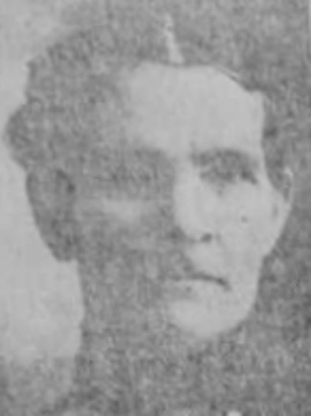 Elizabeth Ann Hamilton (1850 - 1916) Profile